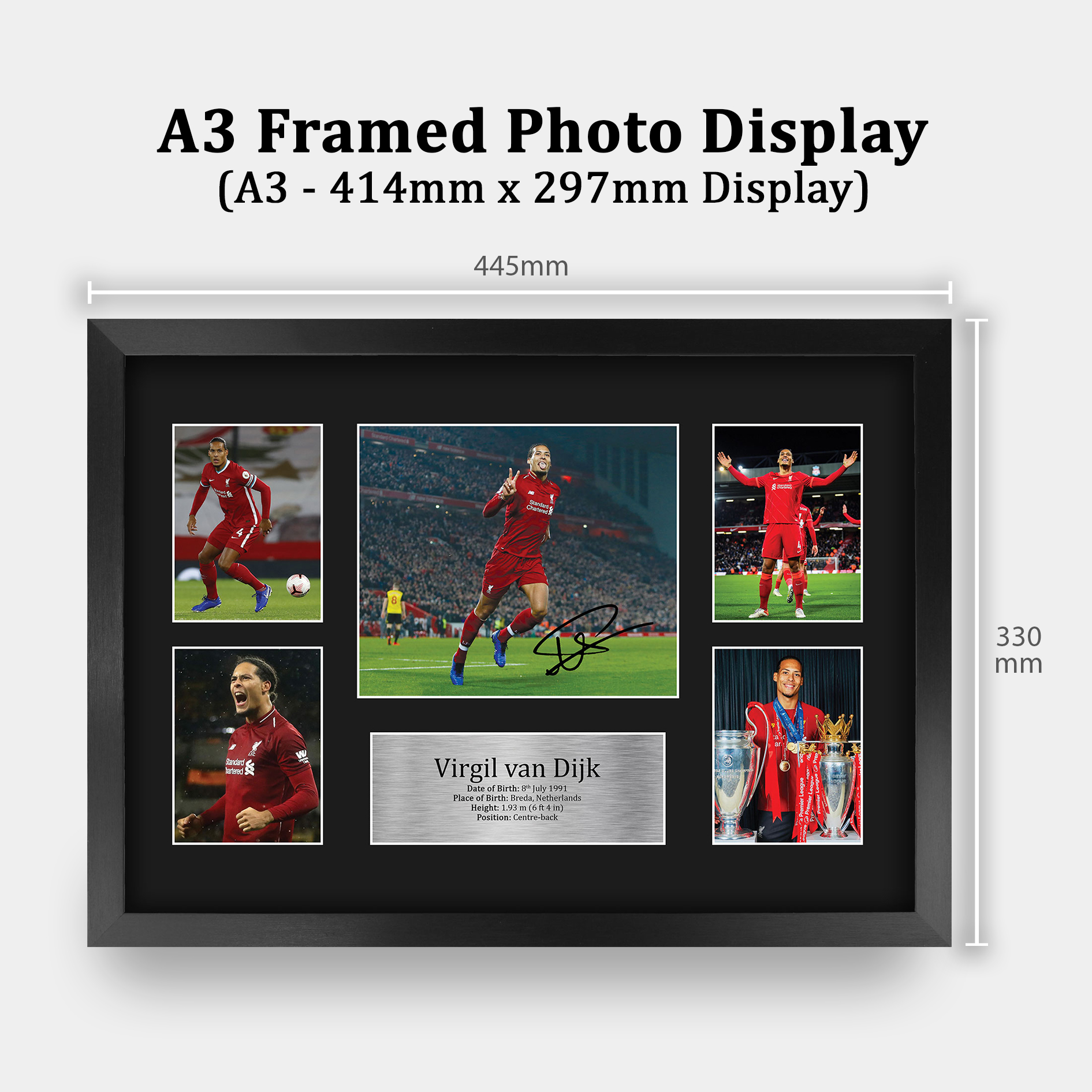 Virgil Van Dijk Signed A4 Framed Printed Autograph Liverpool LFC Print Gift