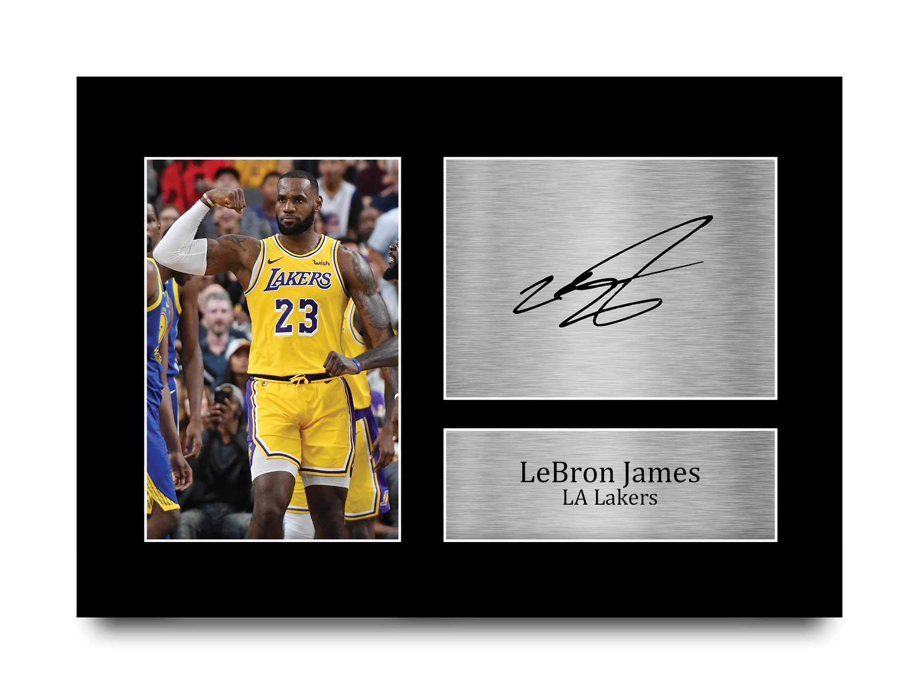 lebron james autograph